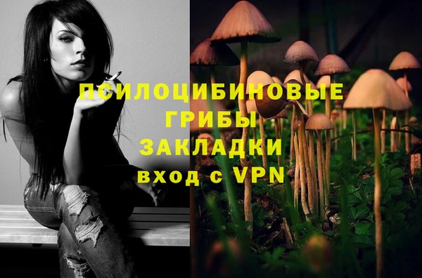 ECSTASY Краснослободск