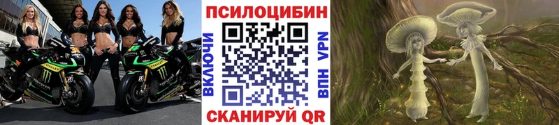 Псилоцибиновые грибы Cubensis  Купить  Зверево 