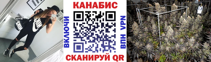 Канабис план  Купить  Зверево 